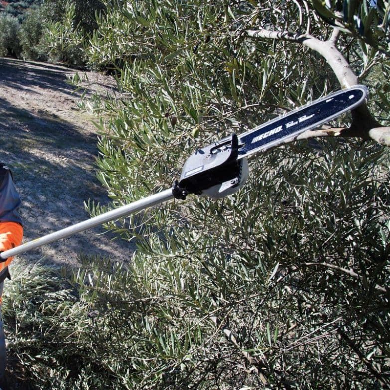 PODADORA PPF-236ES - Imagen 3